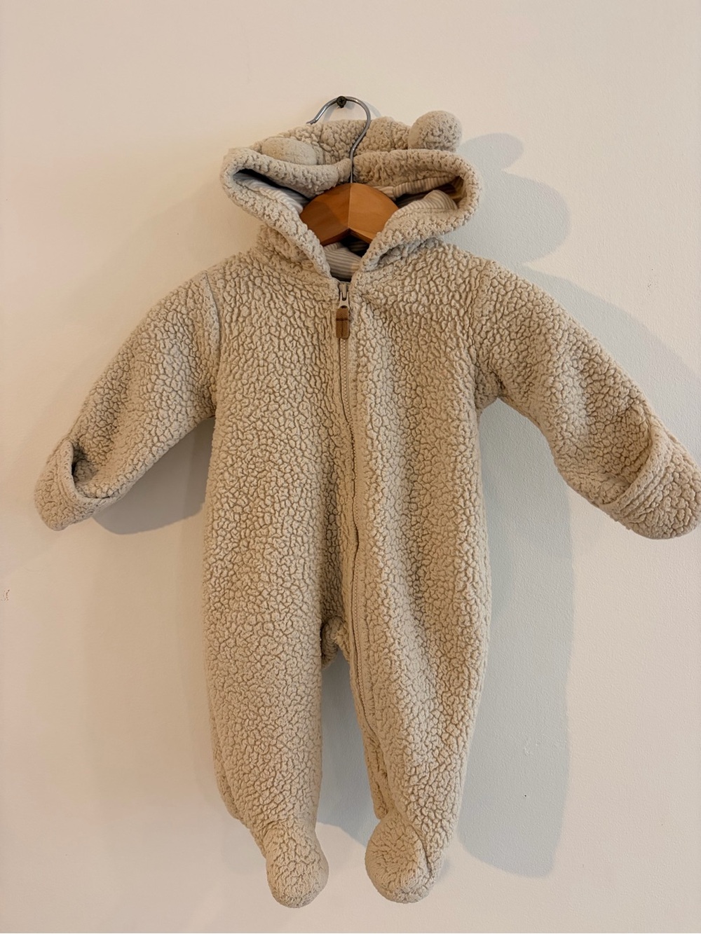 Cozy Teddy Fleece Hooded Bunting Suit